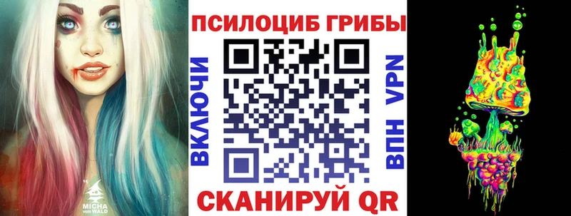 OMG онион  Владивосток  Псилоцибиновые грибы Cubensis 